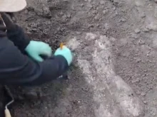 Археолозите на Херакеля Синтика се похвалиха с ново откритие