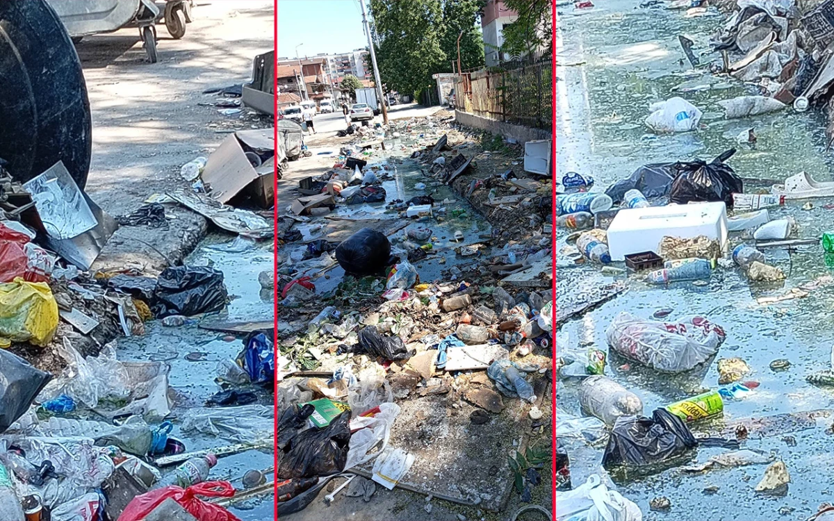 Смрад и мръсотия на "Ландос": А вината не е там, където мислите