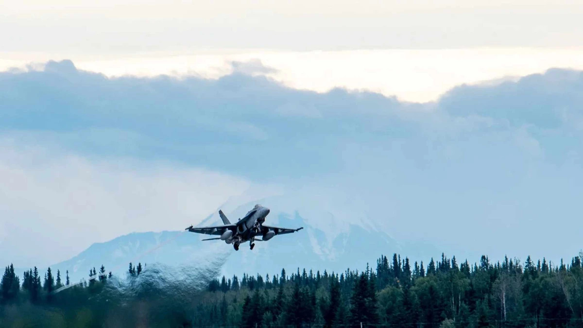 Американският изтребител F A 18 Hornet се разби в събота