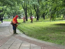Продължават дейностите по косене на тревните площи в Русе