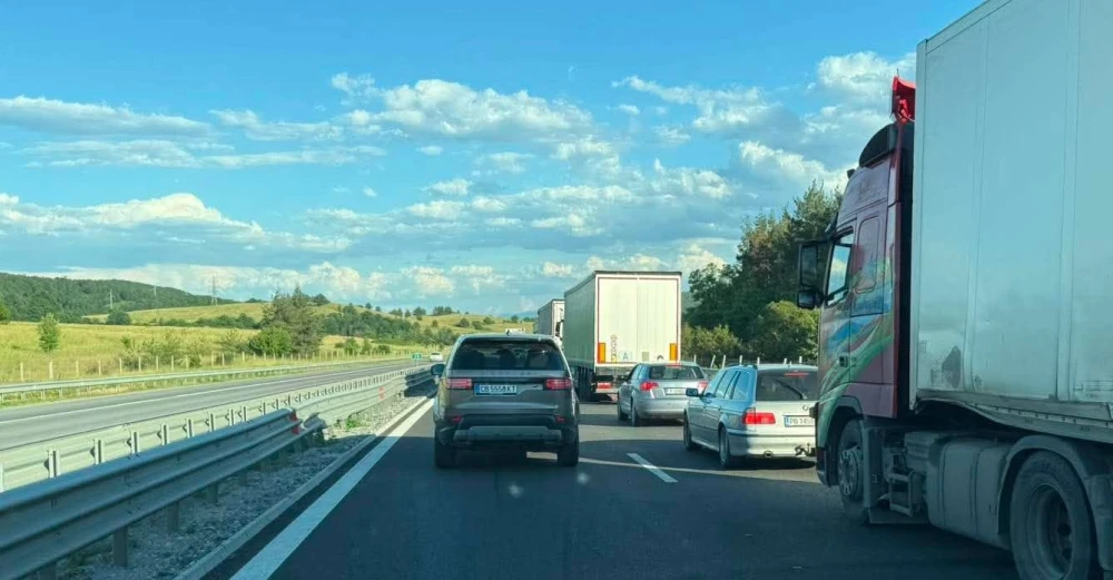 Тапата е огромна и едва пъпли