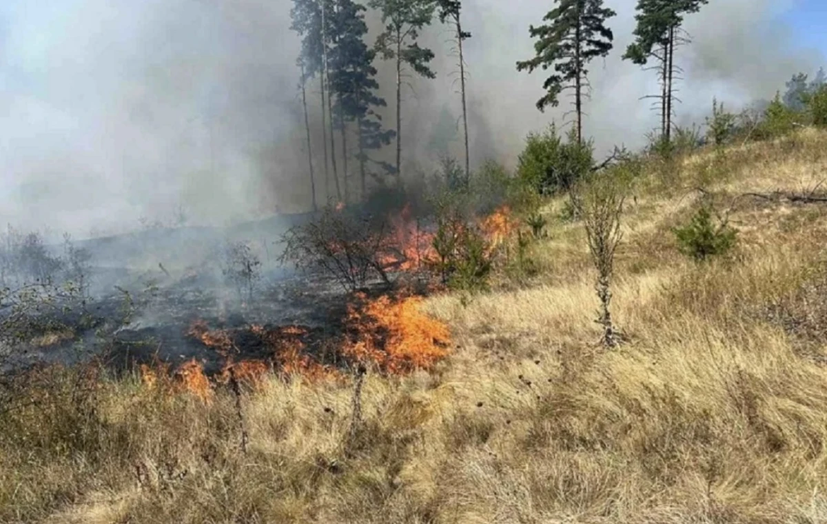 Сметната палата стартира одит за последните две години Във фокуса