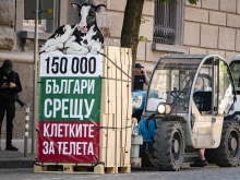 150 000 българи поискаха край на клетките за телета, подписите влязоха с мотокар в НС