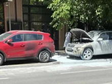 ������ ������: ������������ ���������� ������ ������������ �������, ��� ����� ���� ���������