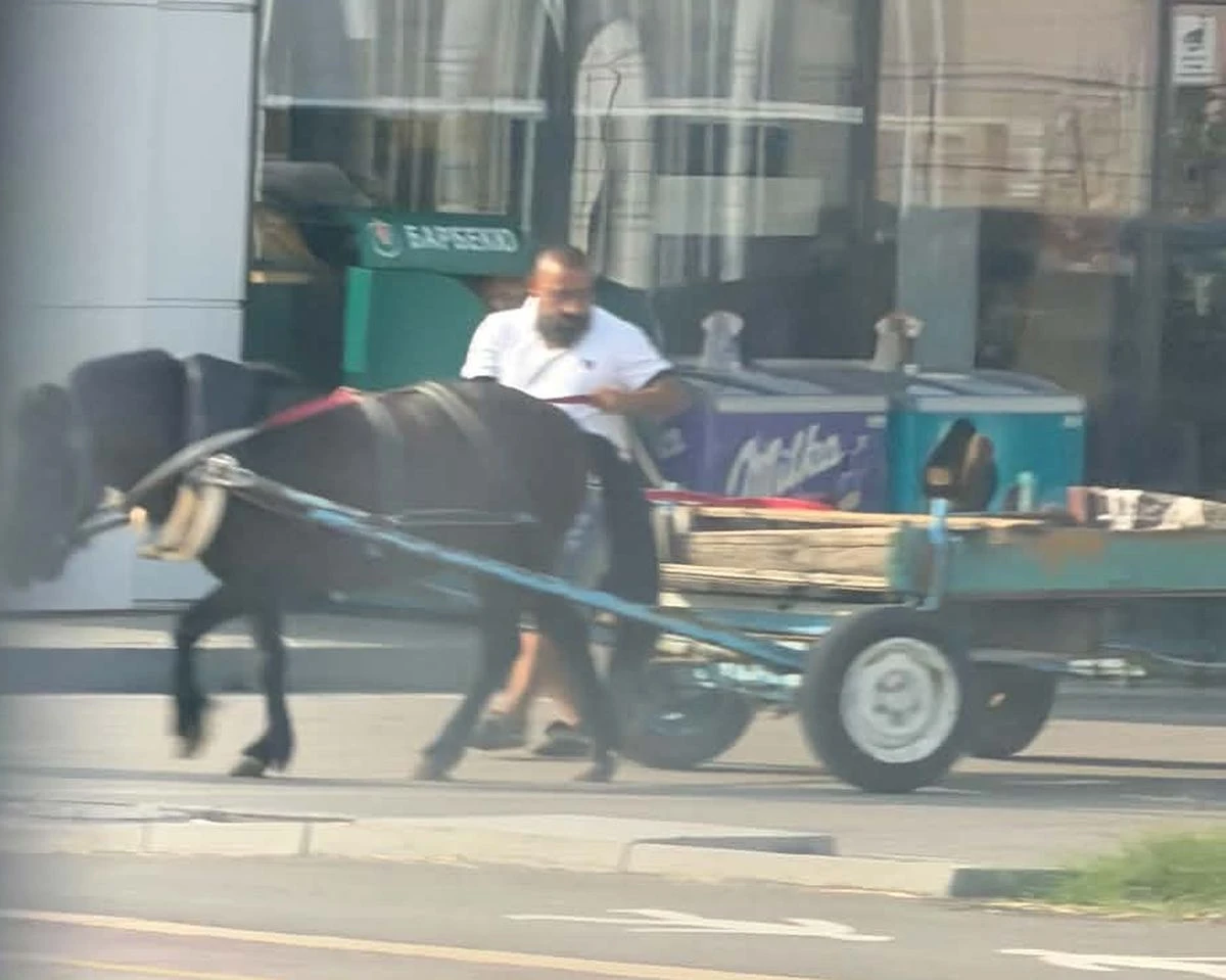 Пълен абсурд в Пловдив, каруца спря на бензиностанция