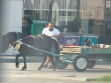 Пълен абсурд в Пловдив, каруца спря на бензиностанция