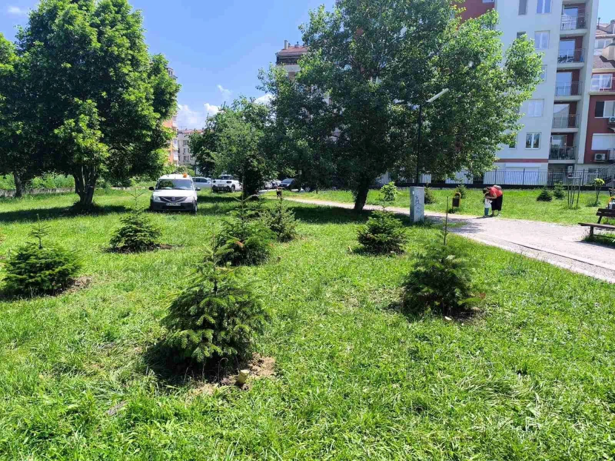 Нова малка горичка вече расте в район Младост Това каза