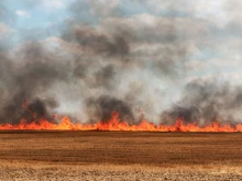 Ракета против градушка е причинила пожар край Видин, унищожени са два декара пшеница