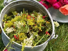 На Еньовден на места в Западните Родопи се изпълняват предженитбени обичаи