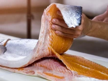 Русия наложи пълна забрана върху вноса на рибни продукти от Армения
