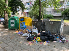 Пловдивчанка: Чистотата е под всякаква критика