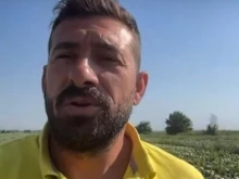 Производител: Ще унищожа изцяло готовата си реколта поради невъзможност да я продам на пазара