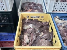 БАБХ възбрани близо 500 кг негодно месо в месопреработвателно предприятие в Хасково