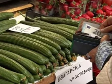 Президентът на КНСБ: Няма пазарно обяснение за фрапиращото поскъпване на краставиците