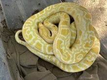 ����� �� ������� ���� ������ �������� � ����� ������