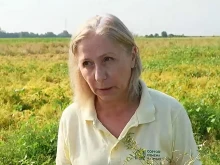 Производител: Новите култури, които променят земеделието у нас в ерата на засушаването, са бурчак и шафранка