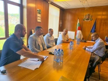 Електроразпределителното дружество: 80% от ел. авариите в Търновско са причинени от стари дървета