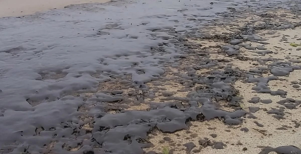 С Турция водихме разговори за развитието на транспортните връзки между