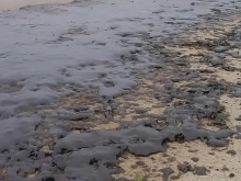 Министър Пеев: Мазутът по брега на Черно море е старо отлагане на нефтени продукти