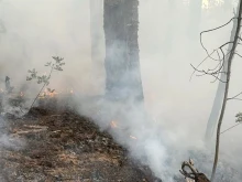 Огнеборци и доброволци се борят с пожар в близост до автомагистрала "Струма"