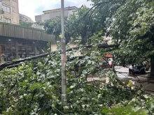 Голяма буря в Стара Загора, има паднали дървета и наводнени улици