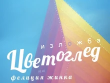 Първа самостоятелна изложба в България: Унгарската художничка Фелиция Жинка гостува в Стара Загора