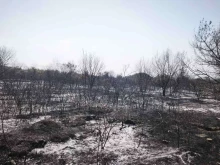 Близо 600 декара растителност изгоряха при пожара край вилната зо...