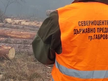 Над 140 акта са съставили горските от Централна Северна България ...