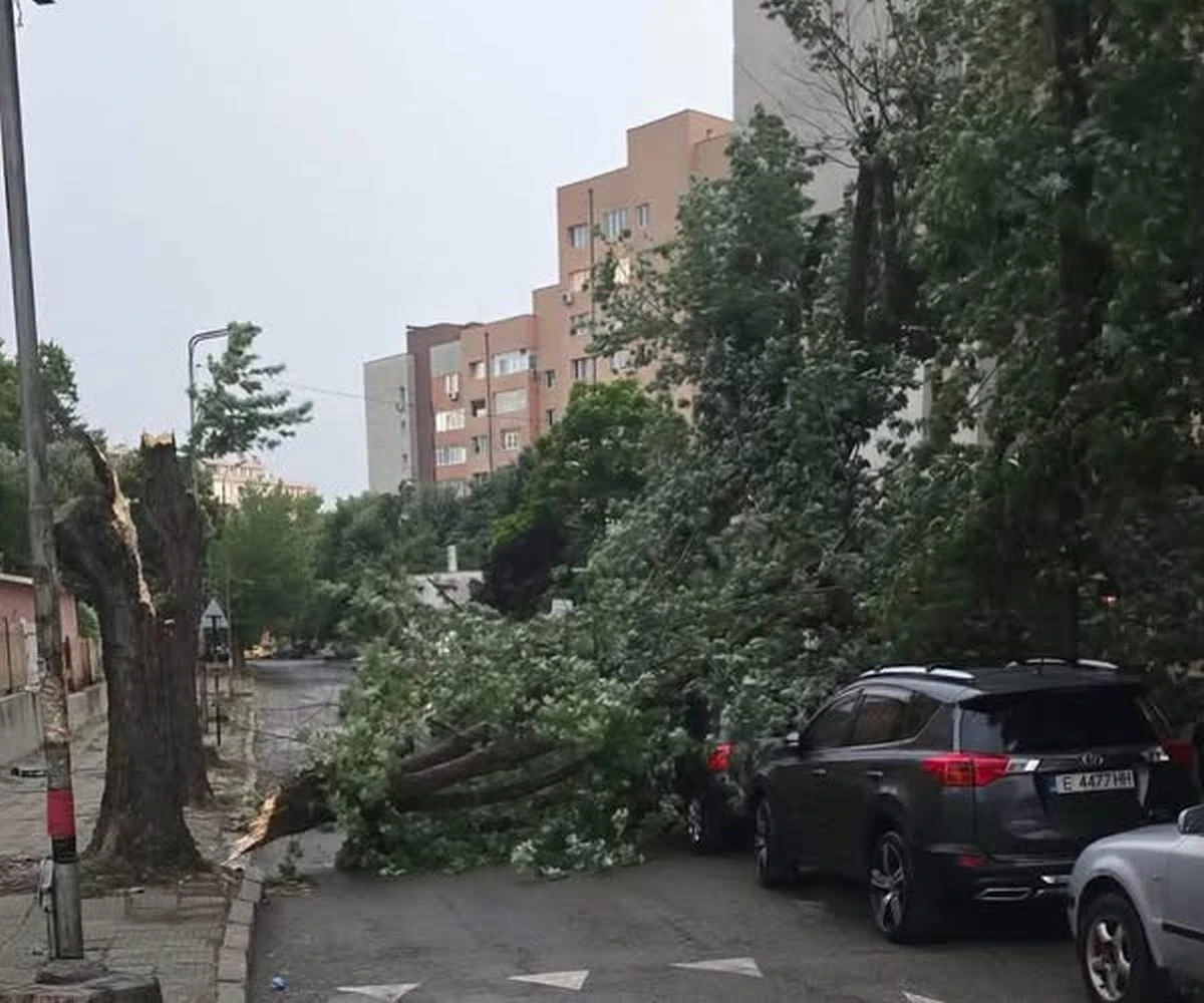 Вчера природата ни напомни колко малки сме пред нейната сила