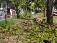 Кметът на Пловдив след силната буря: Още снощи проходимостта на целия град беше факт