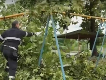 Последиците от стихията в Петрич
