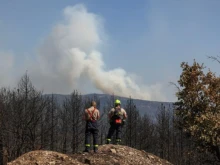Директорът на великотърновската пожарна: Над 90% от пожарите в сухи треви и гори са причинени от човешка небрежност или умишлен палеж