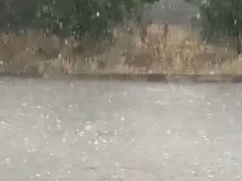�������� ����� ����� ������
