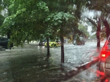 Около 100 сигнала са постъпили в Община Варна заради интензивния дъжд