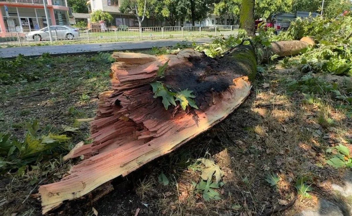 Две жени са пострадали след силната буря в Ямбол днес