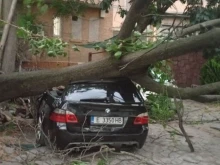Над 400 сигнала за последици от бурите в рамките на вчерашния ден...