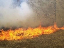 РИОСВ - Варна: Над 90% от пожарите са причинени от човешка небрежност