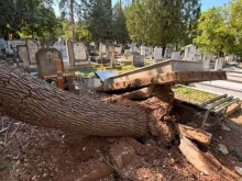 "Проверете дали гробвете на близките ви са повредени!": Бурята в Скопие изтръгна надгробни плочи и паметници