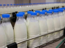 Русия ограничава вноса на млечни продукти от Армения от 27 юли