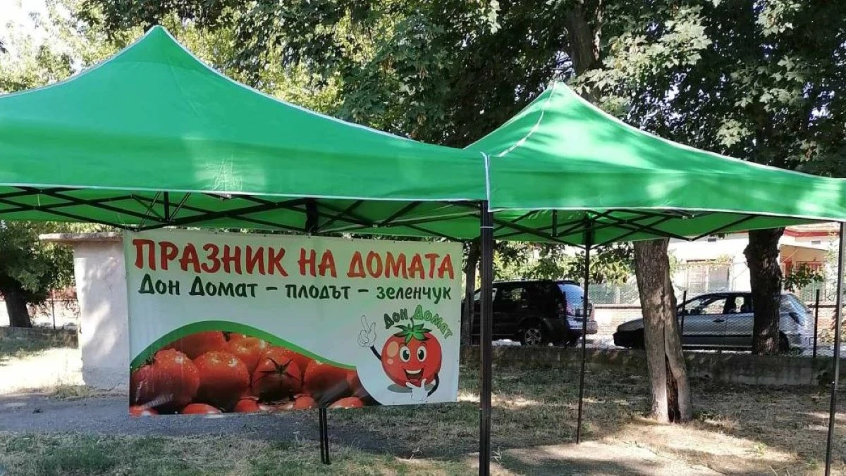 Традиционният празник Дон Домат – плодът зеленчук ще зарадва жителите
