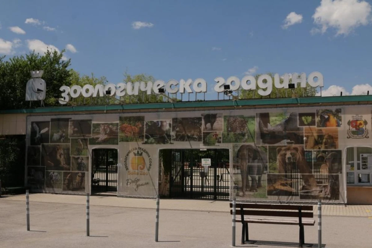 Зала Гиганти в Софийския зоопарк временно затваря Това съобщиха от