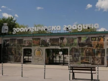 Затварят една от залите в Софийския зоопарк заради ремонт