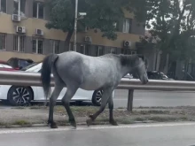 �������� ������������� �� �������� ��������� �� ��� �� ������ �������� ��������