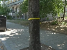 Очевидец на инцидента с дете с тротинетка в Лясковец: Той завоя го взе със 100 и на 20 метра падна и си счупи главата