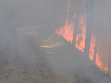 Пожар бушува в Пирин