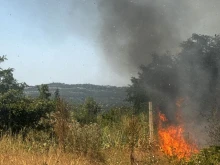 Над 500 дка изгоряха при пожари в Хасковско