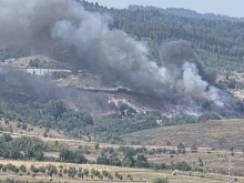 Локализираха пожара край кюстендилското село Радловци