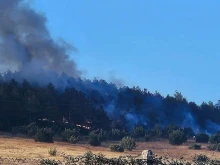 Овладян е пожарът в горския масив над село Хрищени край Стара Загора