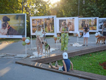 Фотоизложбата "Погледни ме – осинови ме" дава шанс за нов дом на кучетата от Общинския приют в село Каменар