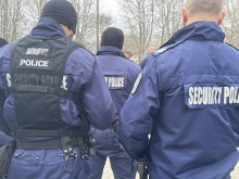 Брутално насилие във Варна! Млад мъж убива и яде котки, качва видеа в социалните мрежи